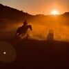 barrelracer907